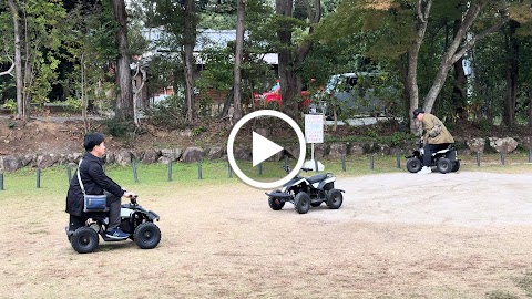 A row of electric buggies stationed within Nokonoshima Island Park, providing a specialized mode of transport for visitors to