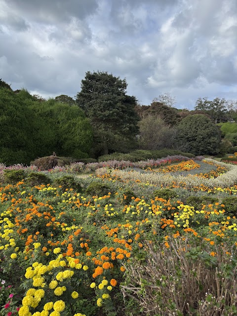 I was so pleasantly surprised at how many flowers there were even in November! Nokonoshima Island Park is truly a year-round