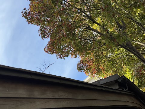 Autumn Maple Foliage Under Traditional Eaves Rakusuien