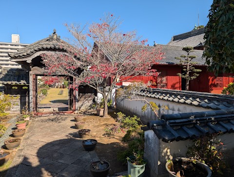 POI: Sōfuku-ji Autumn Courtyard
Fun Fact: The vibrant red Japanese Maples (momiji) in this courtyard are the stars of momijig
